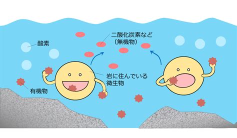 好環境原理|【自然の力で水を浄化】微生物を活用した排水処理に。